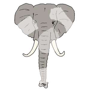Elefant-2118.png