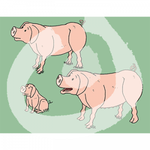 Fabel-Schweine2-1872.png