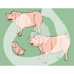 Fabel-Schweine3-1883.png