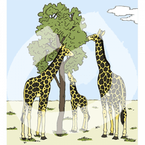 Giraffen-2120.png