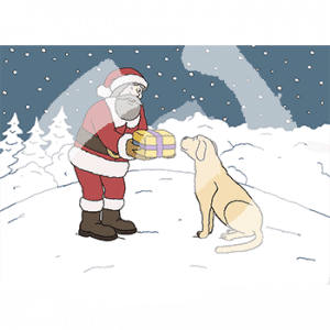 Weihnachtsmann-Hund-1499.png