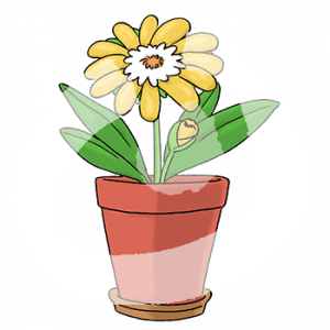 blume.png